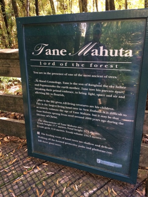 tane_mahuta_sign